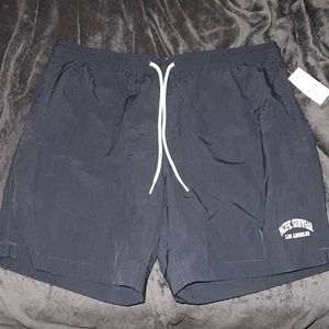 Pacsun Swim Trunks